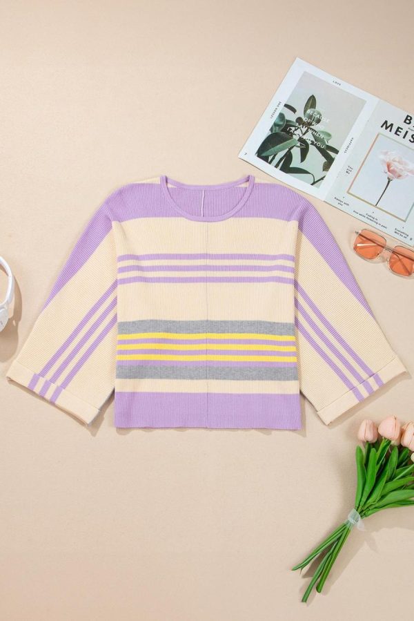 Women Knit Tops | Purple Striped Rib-Knit Cropped Top - Image 6